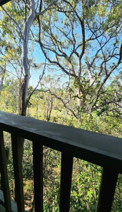 The Black Cockatoo - Secret Garden Treetops Home Katoomba Εξωτερικό φωτογραφία